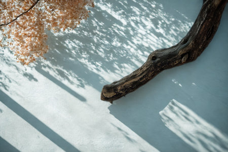 Abstract composition featuring dappled sunlight and shadows cast by foliage and a dark branch on a light, textured surface.の写真素材