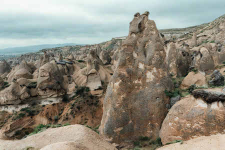 Towering, weathered rock spires dominate a barren, mountainous terrain under a cloudy sky. An animal stands on a boulder in the foreground.の写真素材