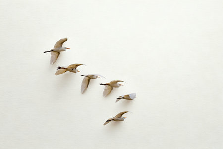 A small flock of birds in various stages of flight, arranged in a diagonal line against a plain, light-colored background.の写真素材