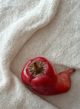 A vibrant red fruit with a textured stem sits on a soft, fluffy white towel, creating a simple still life.の写真素材