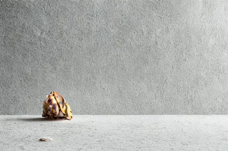 A solitary object sits on a textured concrete floor against a plain gray wall, creating a simple, stark composition.の写真素材