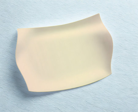 A minimalist, off-white ceramic plate with gentle curves sits on a soft, light blue surface. The lighting creates subtle shadows.の写真素材