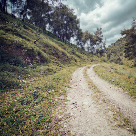A narrow, unpaved road curves through a grassy, tree-lined slope with dramatic clouds overhead.の写真素材