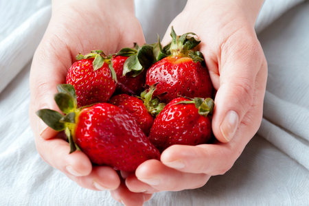 A close-up shot of cupped hands holding a generous pile of bright red, ripe strawberries with green stems.の写真素材