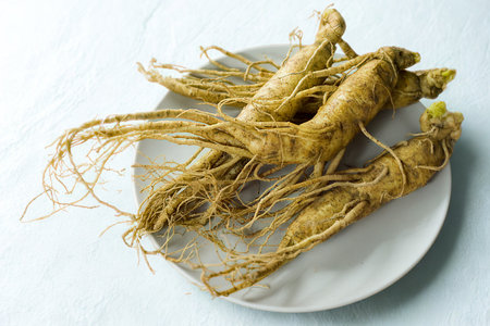 A close-up shot of several fresh, whole ginseng roots with their delicate rootlets, presented on a simple white plate against a white background.の写真素材