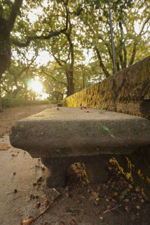 Old stone bench in the park on a sunny autumn day. Close-up.の写真素材