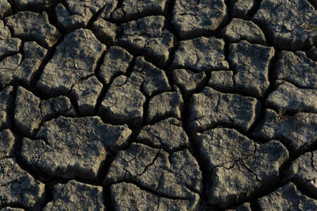 drought texture backgroundの写真素材