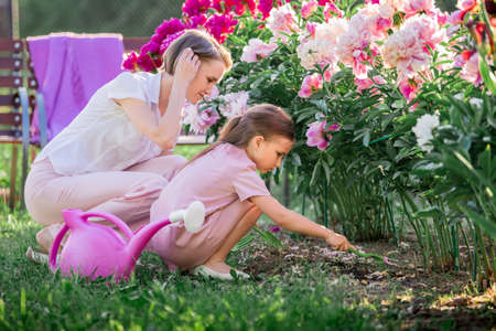 Mom and daughter in a linen pink dress take care of peonies in the garden at the cottage, water the flowers. He perfectly smiles and laughs. Illuminated by the rays of the evening setting sun.の写真素材