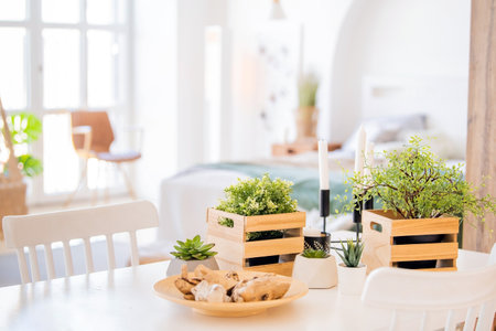 Houseplants in decorative boxes on the background of a modern clean interior, place for your textの写真素材