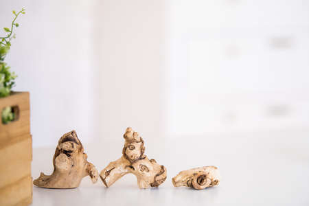 Decorative abstract driftwood on the background of a modern clean interior, place for your text, copy spaceの写真素材