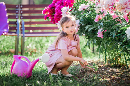 girl in a linen dress caring for peonies in the summer in the gardenの写真素材