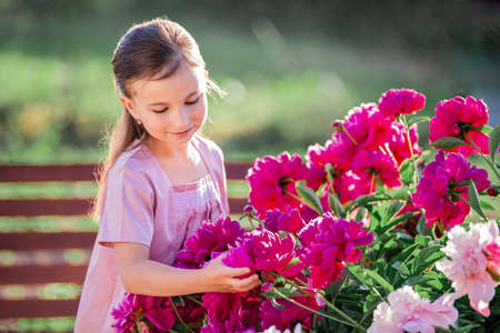 girl in a linen dress caring for peonies in the summer in the gardenの写真素材