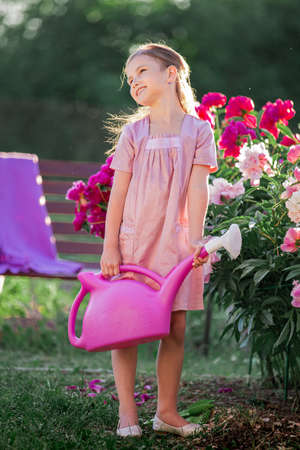 girl in a linen pink dress takes care of peonies on a summer sunny evening in the garden on the cottage, watering flowers. He smiles beautifully.の写真素材