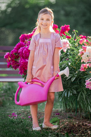 girl in a linen pink dress takes care of peonies on a summer sunny evening in the garden on the cottage, watering flowers. He smiles beautifully.の写真素材