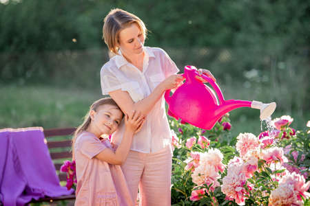 Mom and daughter in a linen pink dress take care of peonies in the garden at the cottage, water the flowers. He perfectly smiles and laughs. Illuminated by the rays of the evening setting sun.の写真素材