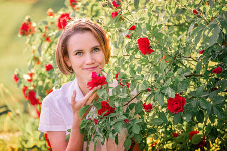 portrait of a young woman among red roses in the back sunlightの写真素材