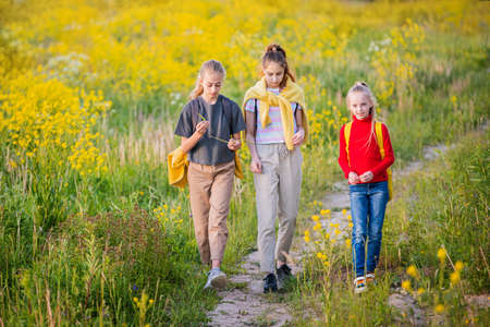 A group of girls walking in the evening with backpacks in nature against the background of a flowering meadow, steppe, active healthy lifestyleの写真素材