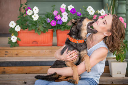 dog puppy indulges and bites his mistress on the faceの写真素材