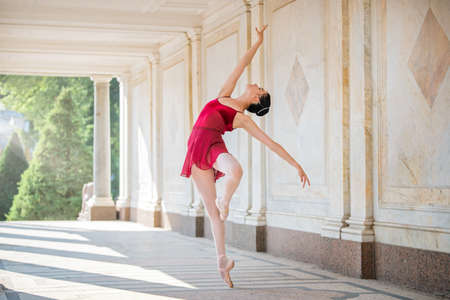 Slender ballerina in pointe shoes and wearing silhouette costume dancing against the background of antique architecture in the parkの写真素材