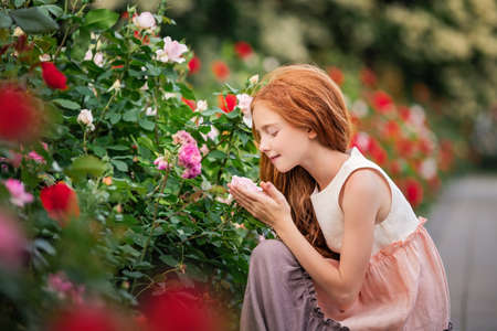 red-haired girl child sniffing a rose in a blooming garden in summerの写真素材
