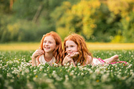 Portrait of two red-haired curly happy girls lying among white clover flowersの写真素材