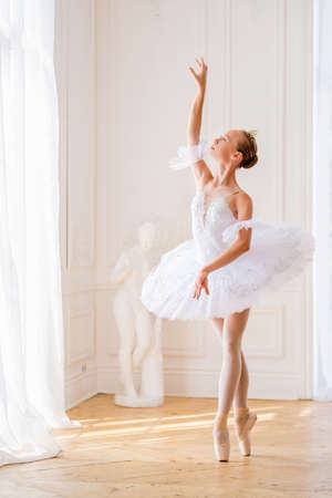 young slender ballerina in a white tutu stands in an arabesque on pointe shoes in a beautiful white room opposite the window.の写真素材