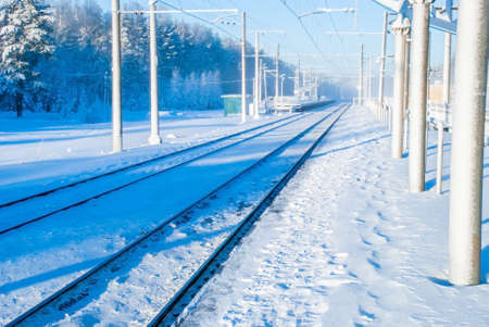 A sunny snowy winter landscape, railroad tracks leading into the distance to the horizon, surrounded by tall fir trees.の写真素材