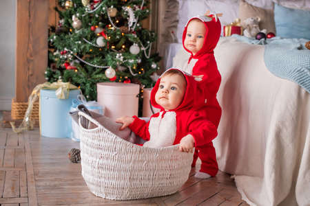 twins toddlers in red santa's reindeer suits sit next to each other at home against the background of a christmas treeの写真素材