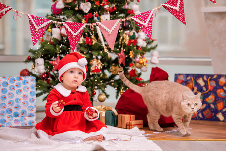 adorable kid dressed as Santa Claus plays near decorated Christmas tree in the living room. cat walks around gifts.の写真素材
