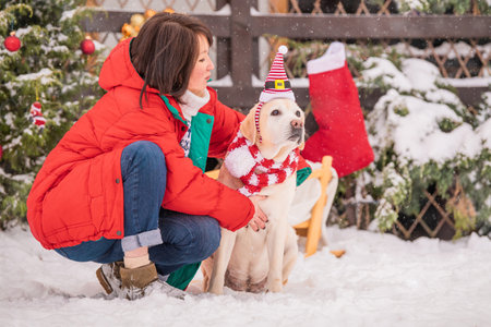 woman with golden labrador in scarf sits near decorated Christmas tree and sleigh during snowfall in winter in courtyard of a residential building.の写真素材
