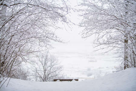 bench standing on hill overlooking misty snow-covered landscape of the northern park.の写真素材