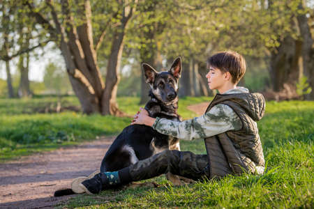 boy with a dog walk in the park on a sunny spring evening, sit on the grass. Friendship of man and animal, healthy lifestyle.の写真素材