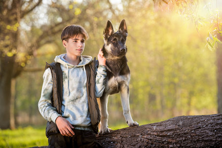 boy with a dog walk in the park on a sunny spring evening, sit on the grass. Friendship of man and animal, healthy lifestyle.の写真素材