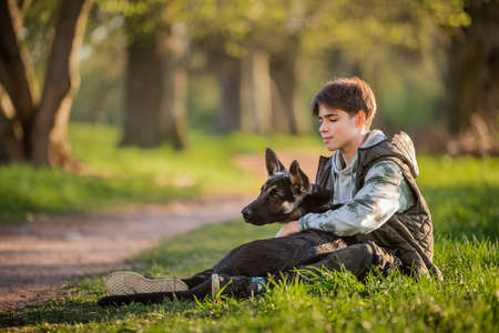 boy with a dog walk in the park on a sunny spring evening, sit on the grass. Friendship of man and animal, healthy lifestyle.の写真素材
