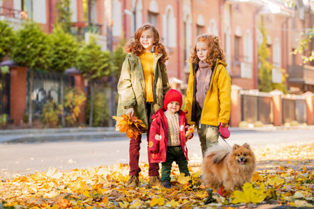 Three girls, two older sisters and a baby, are walking with a fluffy Pomeranian dog along the street and looking at the fallen leaves on sunny autumn day.の写真素材