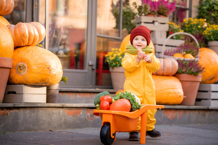 A kid in a yellow overalls drives a toy car filled with vegetables among large pumpkins at the fall fair.の写真素材