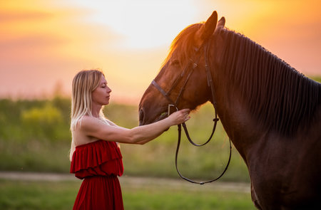 young woman in a red dress walks with a horse in a field at sunsetの写真素材