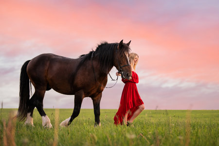 young woman in a red dress walks with a horse in a field at sunsetの写真素材