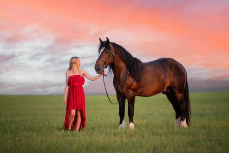 young woman in a red dress walks with a horse in a field at sunsetの写真素材