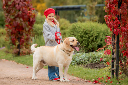 A little girl in a red beret and coat walks with a Labrador dog on a leash along a path in an autumn park.の写真素材