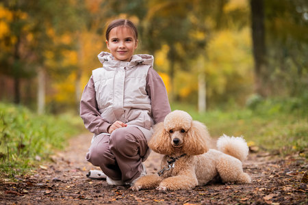Adorable little girl hugging her poodle dog on a walk in the autumn park.の写真素材