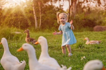 Cheerful little girl in blue dress happily playing with ducks and geese on green farm meadow during golden sunset creating warm and idyllic rural sceneの写真素材