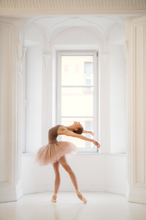 ballerina in a beige leotard and tutu gracefully poses on pointe, her reflection in the mirror completing the scene.の写真素材