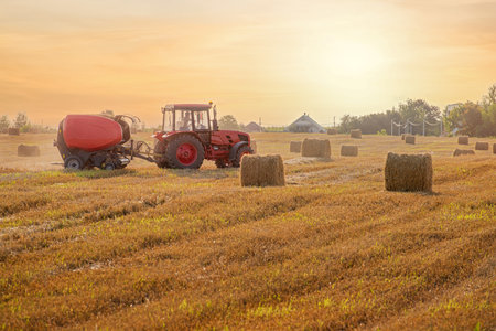 Red tractor operating in a vast field during sunset, surrounded by numerous hay bales. The machinery is active, highlighting agricultural productivity and rural beauty in the golden hourの写真素材