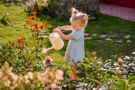 little girl waters flowers from a watering can in the garden of a country house on a sunny summer evening.の写真素材