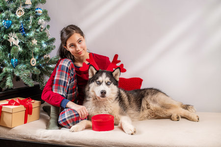Young woman and husky dog in festive red reindeer antlers near decorated Christmas tree. Holiday pet and owner bonding concept.の写真素材