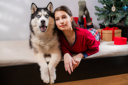 A smiling caucasian girl and her husky dog lie on a bed. Christmas holiday celebration with pet at home. Christmas concept.の写真素材