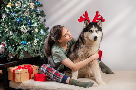 Young woman with brown hair hugging a husky dog with red reindeer antlers next to a decorated Christmas tree. New Year celebration at home with a pet.の写真素材
