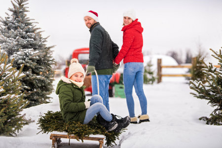A family carries a Christmas tree on a sleigh, having chosen it from a Christmas tree farm.の写真素材