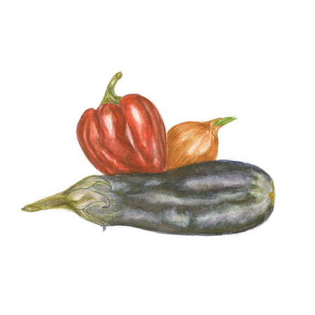 Fresh vegetables isolatedの写真素材